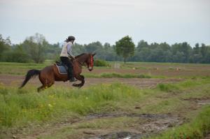 3. Srečanje kočij in konjenikov na Grabah 13